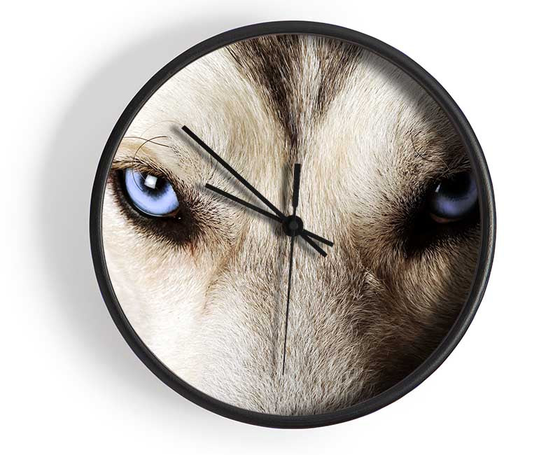 Stunning Husky Dog Eyes Clock - Wallart-Direct UK