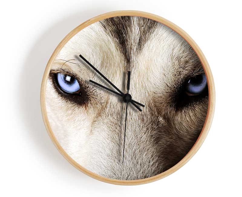 Stunning Husky Dog Eyes Clock - Wallart-Direct UK