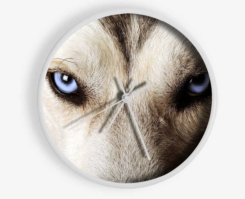 Stunning Husky Dog Eyes Clock - Wallart-Direct UK