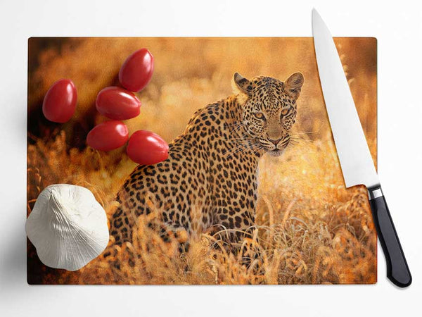 Leopard Sunset Glass Chopping Board