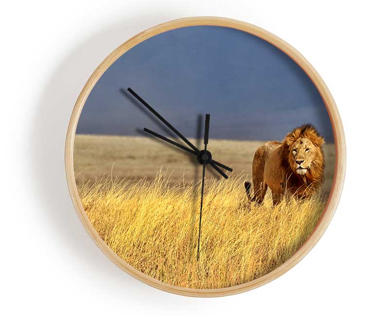 Lion Roam Clock - Wallart-Direct UK