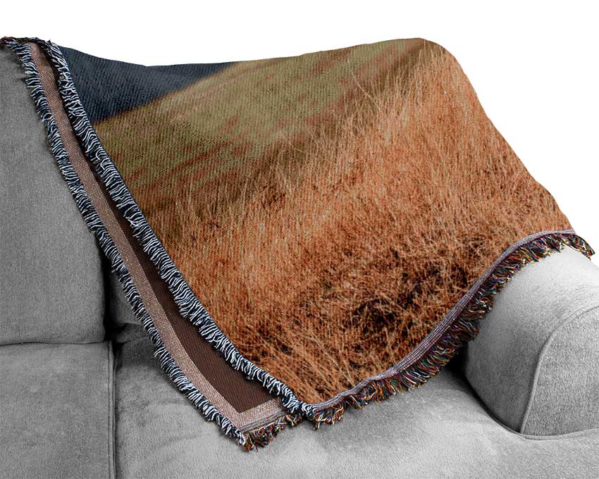 Lion Roam Woven Blanket