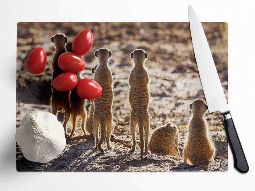 Meerkat Alert Glass Chopping Board