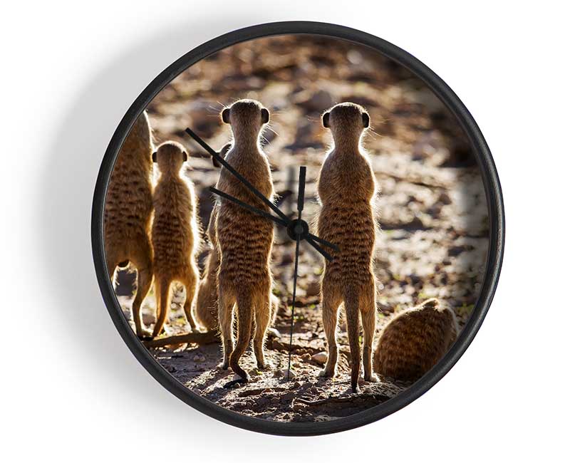 Meerkat Alert Clock - Wallart-Direct UK