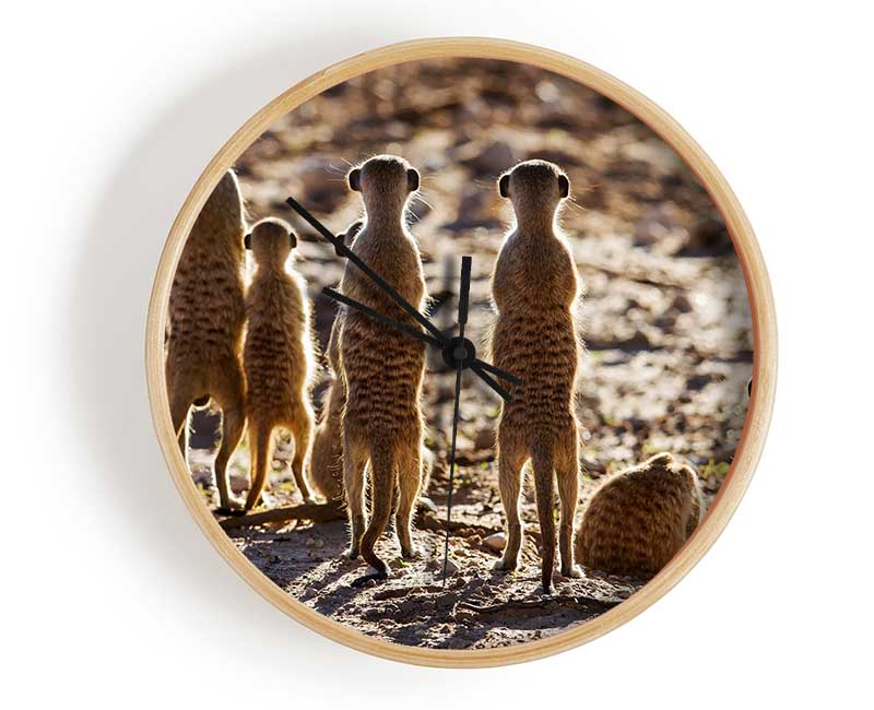 Meerkat Alert Clock - Wallart-Direct UK