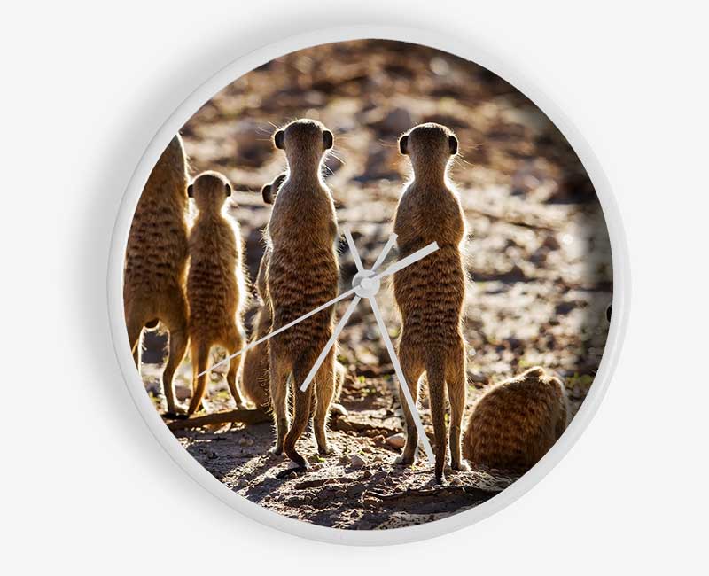 Meerkat Alert Clock - Wallart-Direct UK