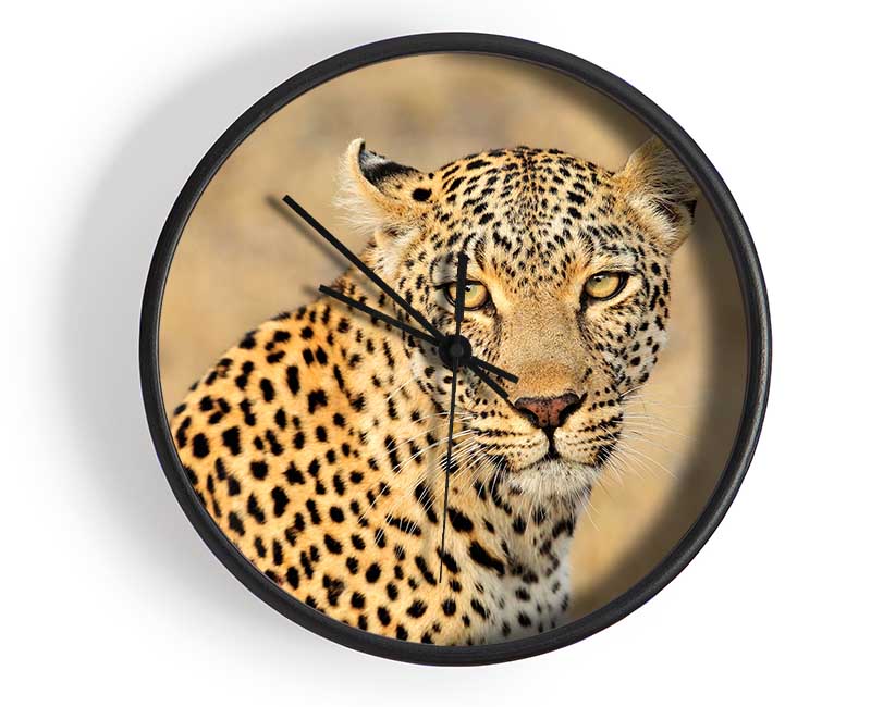 Stunning Leopard Clock - Wallart-Direct UK