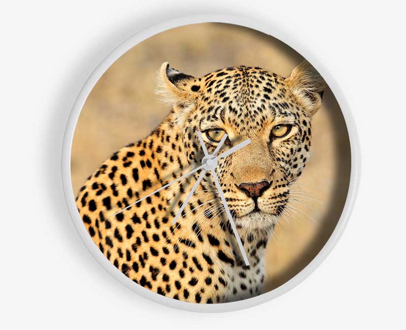 Stunning Leopard Clock - Wallart-Direct UK