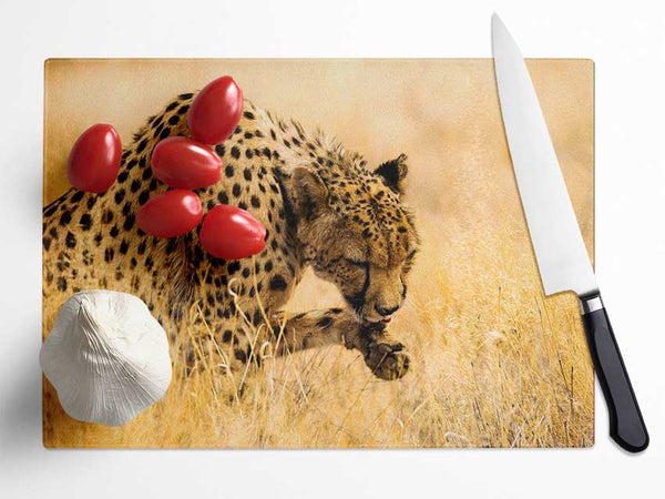 Cheetah Wash Glass Chopping Board