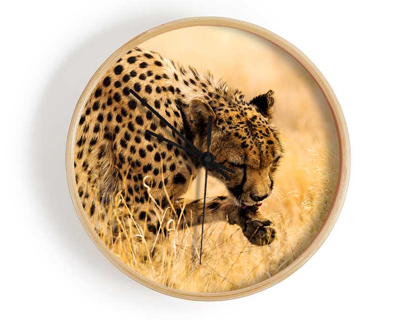 Cheetah Wash Clock - Wallart-Direct UK