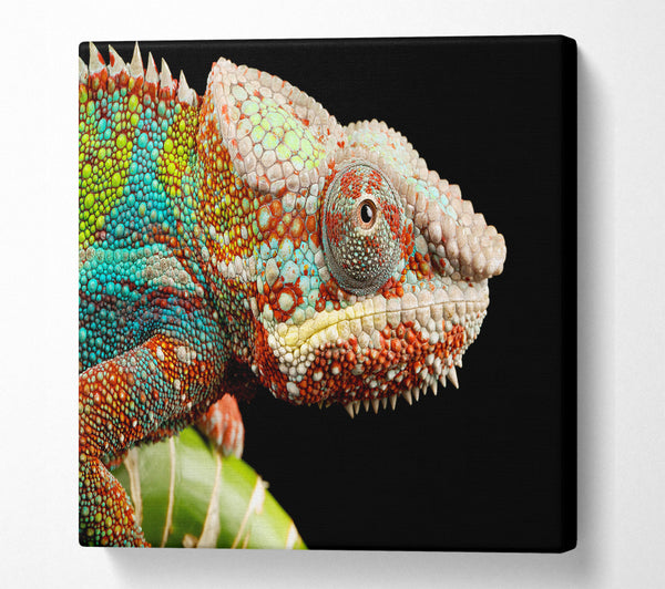 A Square Canvas Print Showing Chameleon Face Square Wall Art