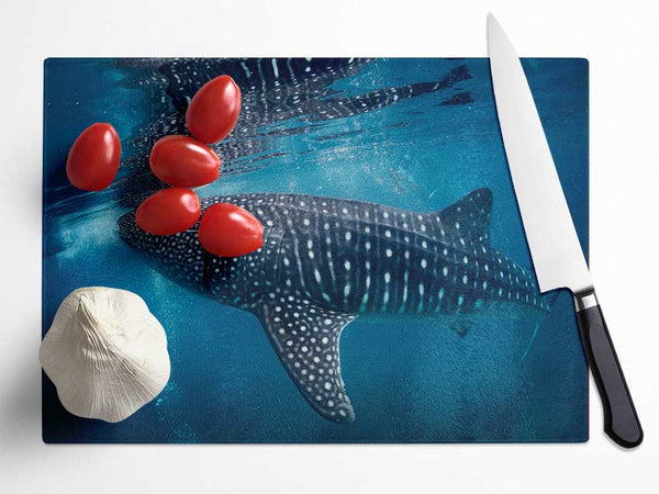 Spotted Whale Shark Glass Chopping Board