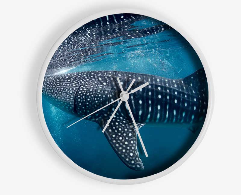 Spotted Whale Shark Clock - Wallart-Direct UK