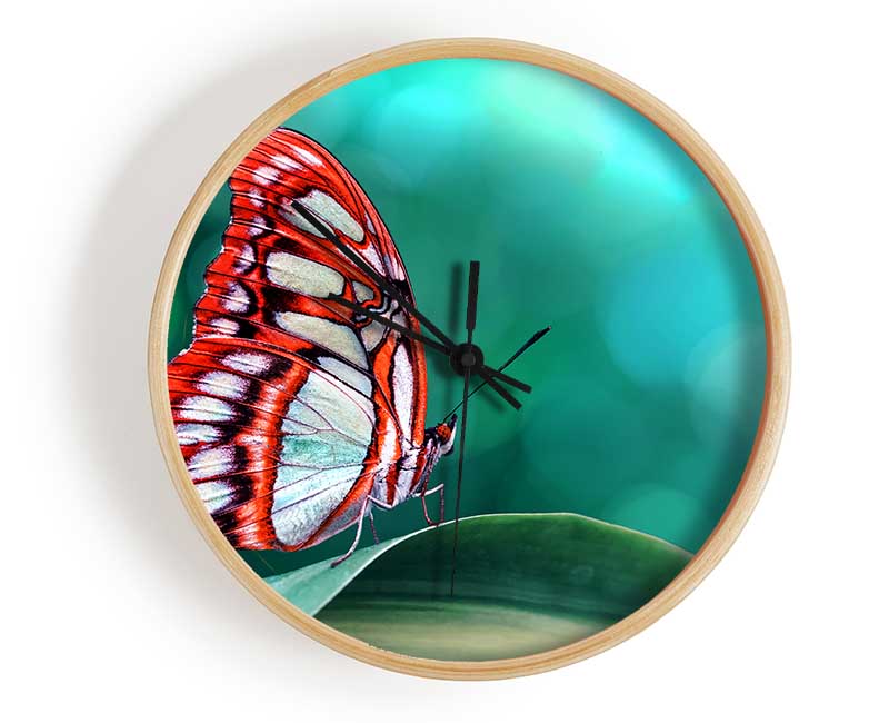 Butterfly Wings 1 Clock - Wallart-Direct UK