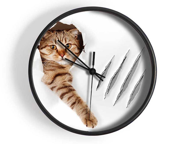 Cat Claws Clock - Wallart-Direct UK