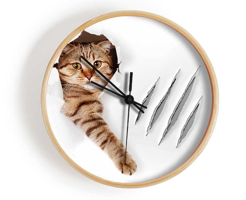 Cat Claws Clock - Wallart-Direct UK