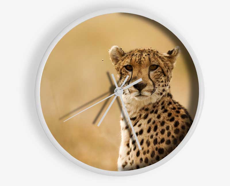 Cheetah Beauty Clock - Wallart-Direct UK