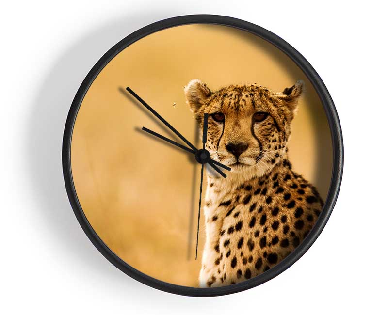 Proud Cheetah Clock - Wallart-Direct UK