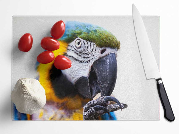 Parrot Care Glass Chopping Board