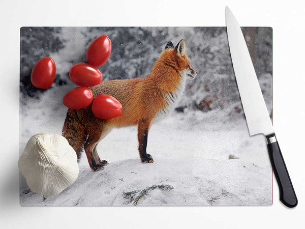 Winter Snow Fox Glass Chopping Board