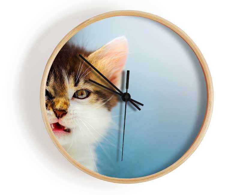 Kitten Cat Growl Clock - Wallart-Direct UK