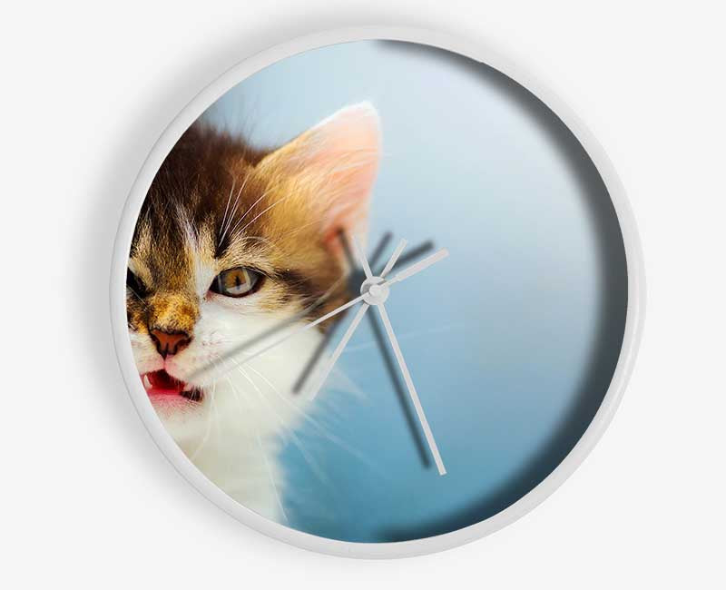 Kitten Cat Growl Clock - Wallart-Direct UK