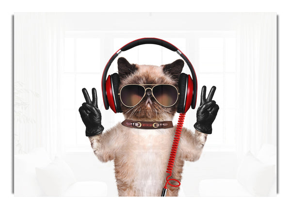 Musical Peace Cat