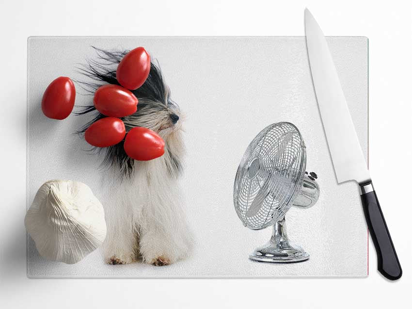 Old English Sheepdog Cooling Off Glass Chopping Board