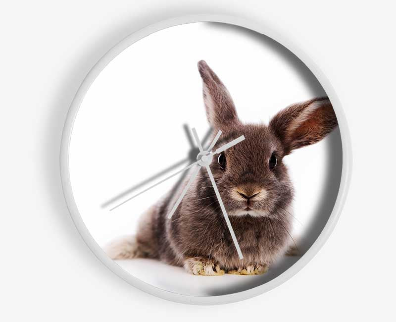 Curiosity Bunny Clock - Wallart-Direct UK