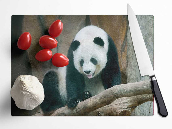 Panda tongue Glass Chopping Board