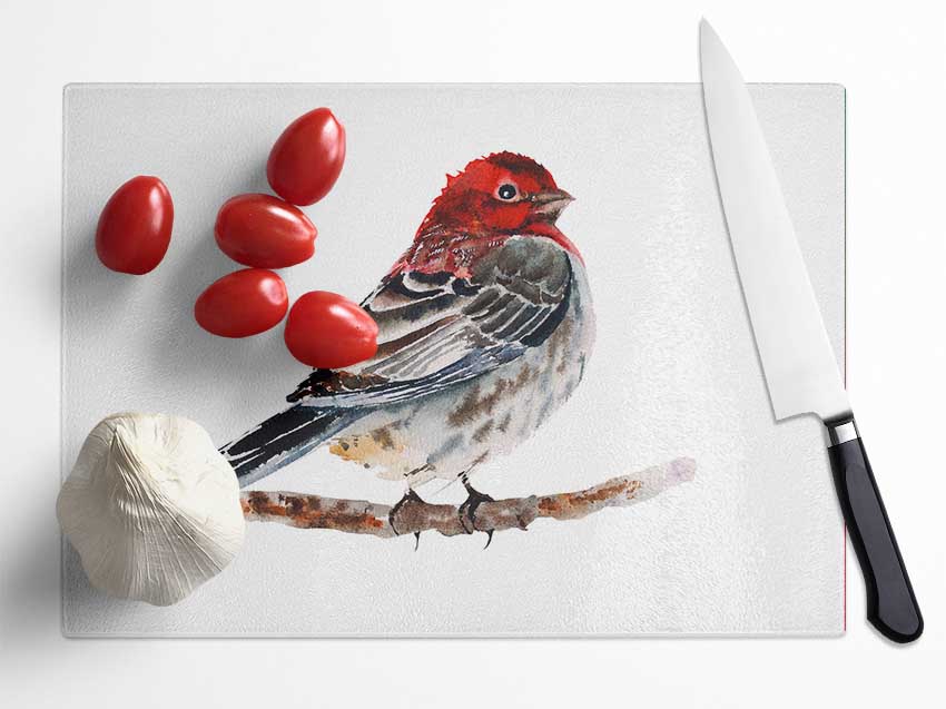 Red Finch Glass Chopping Board