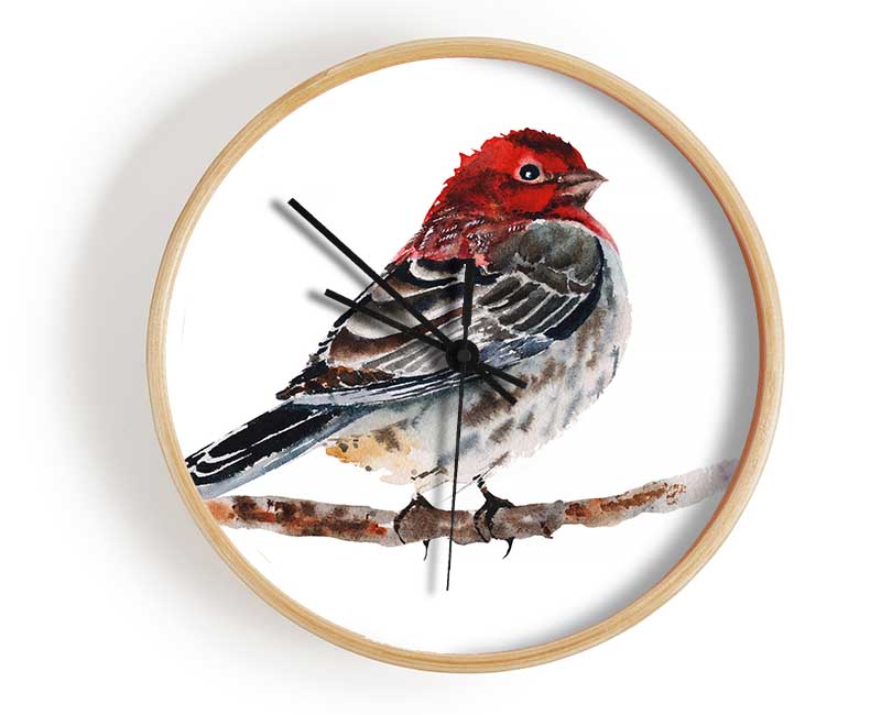 Red Finch Clock - Wallart-Direct UK