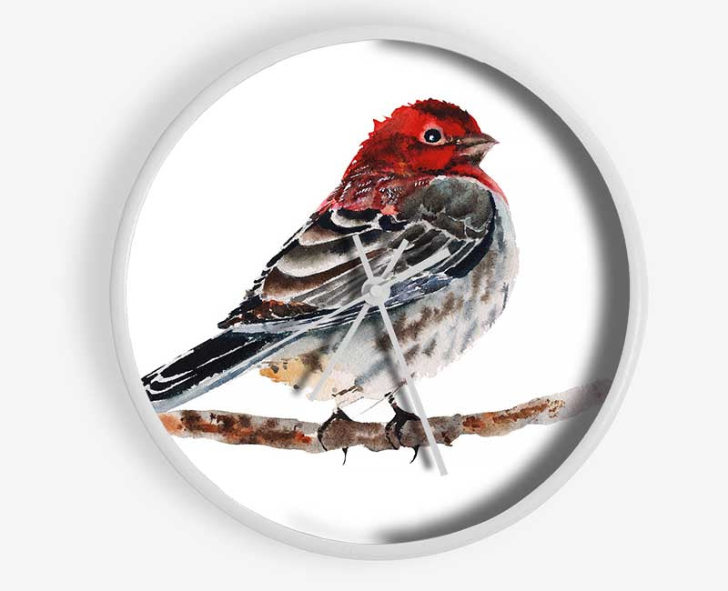 Red Finch Clock - Wallart-Direct UK