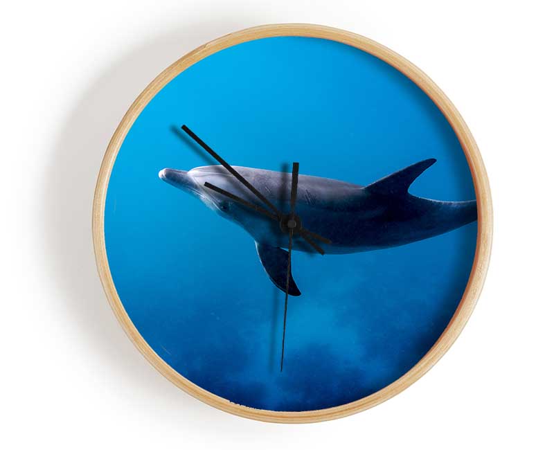 Dolphin Blues Clock - Wallart-Direct UK