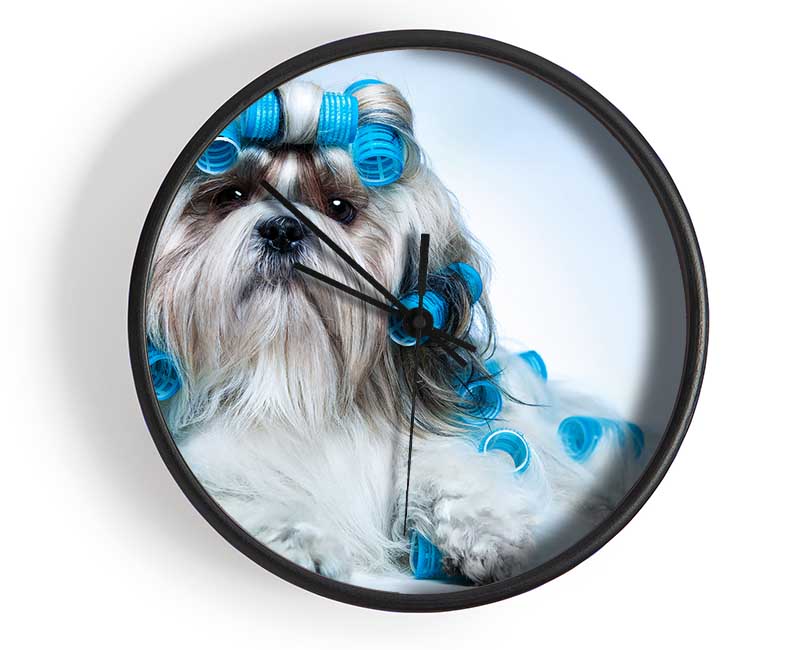 Shih Tzu Dog In Curlers Clock - Wallart-Direct UK