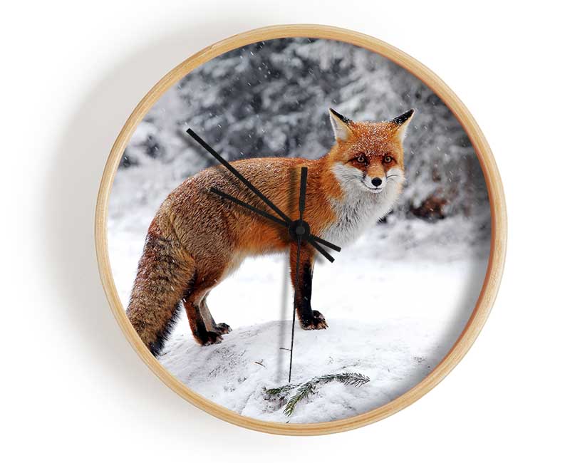 Snow Fox Clock - Wallart-Direct UK