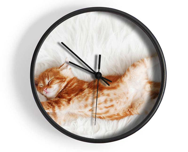 Kitten Cat Belly Clock - Wallart-Direct UK