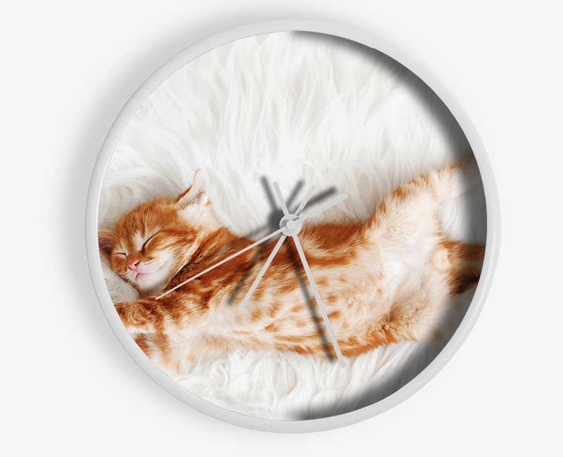 Kitten Cat Belly Clock - Wallart-Direct UK