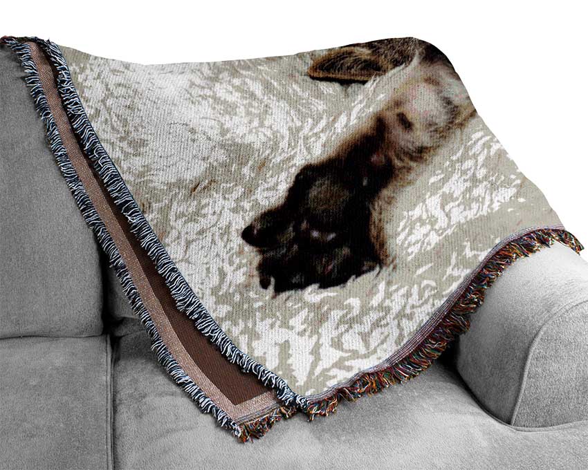 Cat Nap Woven Blanket