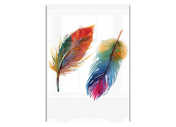 Rainbow Feathers