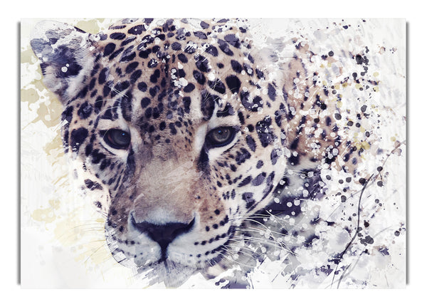 Leopard Splash