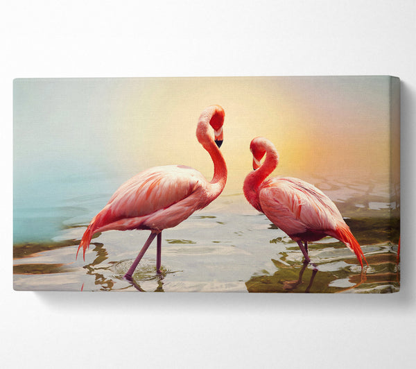 Flamingo Sunset