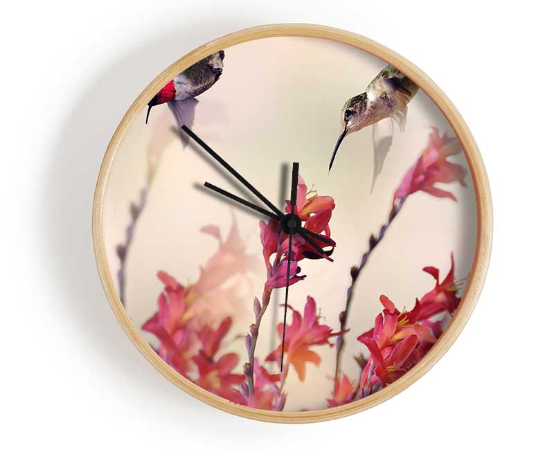 Hummingbird Delight Clock - Wallart-Direct UK