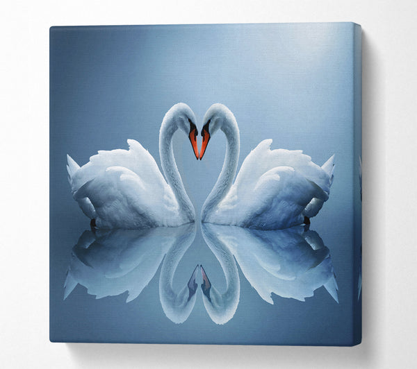 A Square Canvas Print Showing Heart shaped Swans Square Wall Art