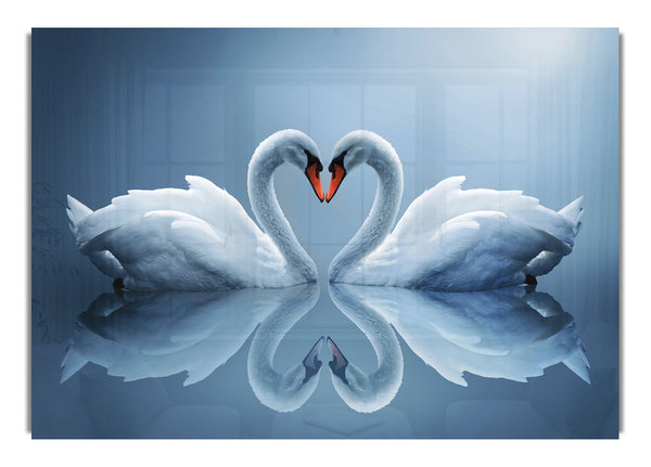 Heart shaped Swans