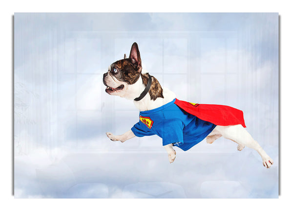 Super Dog Skies