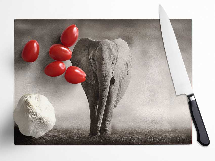 Lonesome Elephant Glass Chopping Board