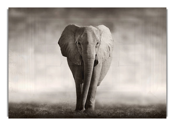 Lonesome Elephant