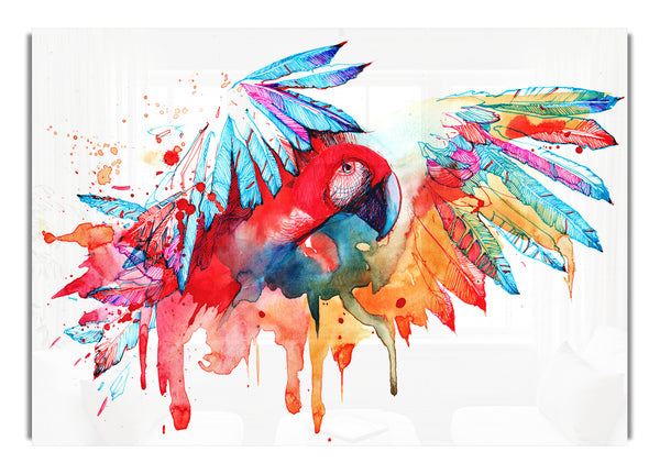 Colourful Parrot