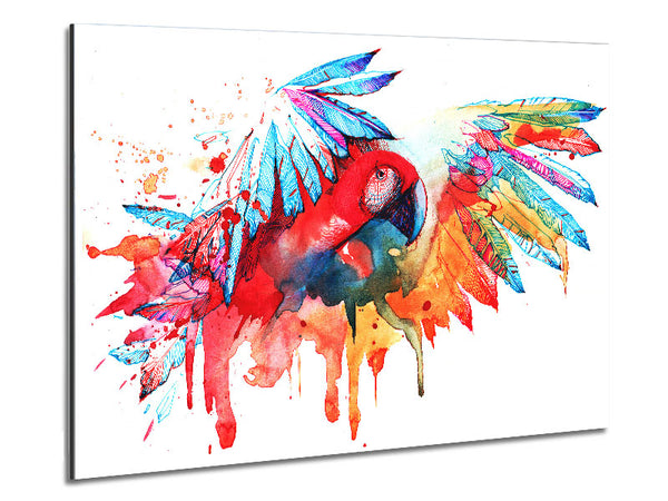 Colourful Parrot